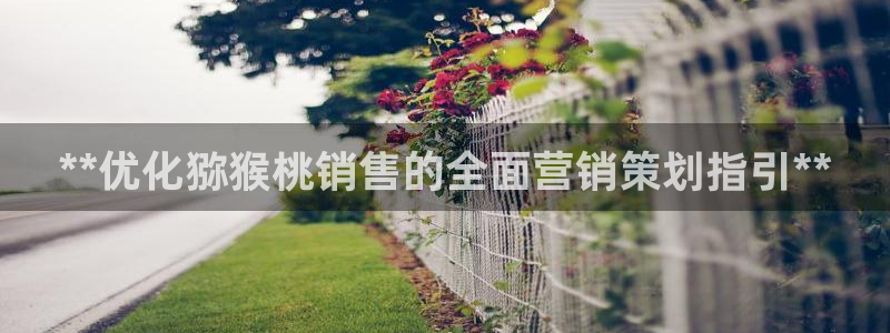必赢下载软件