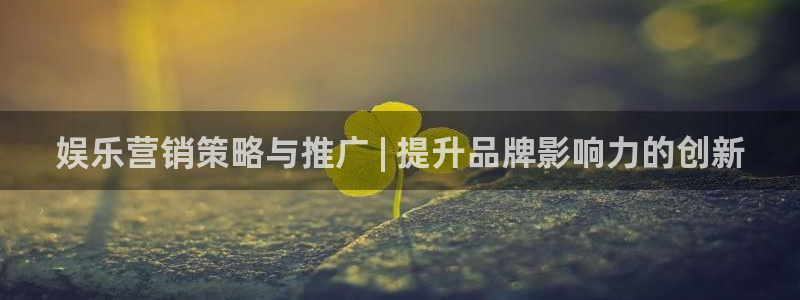 必赢官网