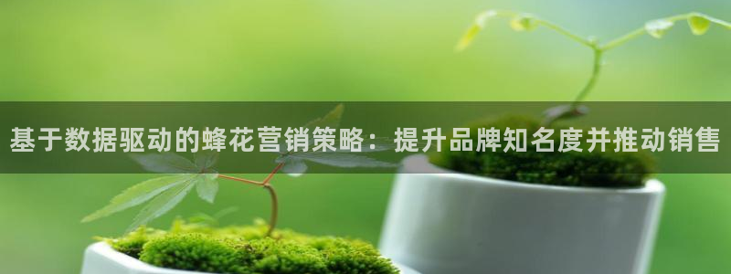 必赢线上网址是什么