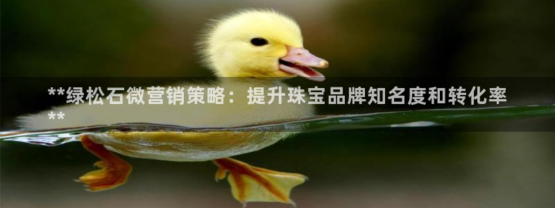 必赢国际游戏技巧