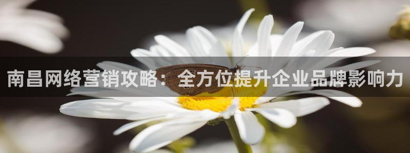 必赢这个平台怎么样啊