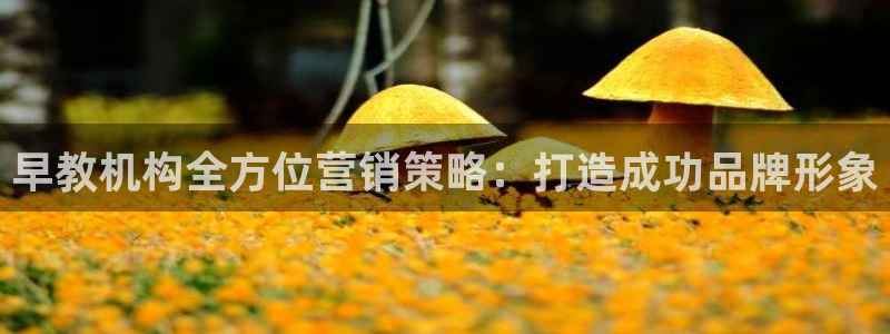 必赢网址手机主页打不开