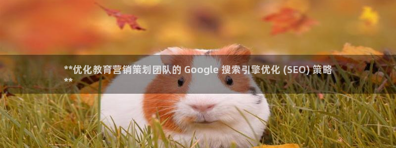 必赢必赢