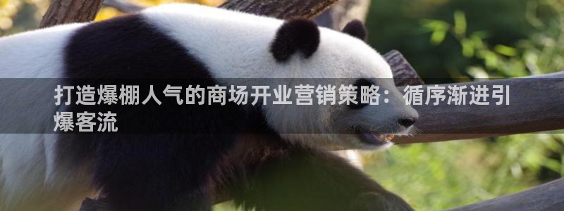 必赢集团