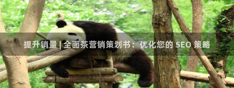 必赢272net手机版-新版app下载