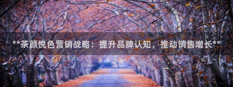 必赢官网网站首页下载