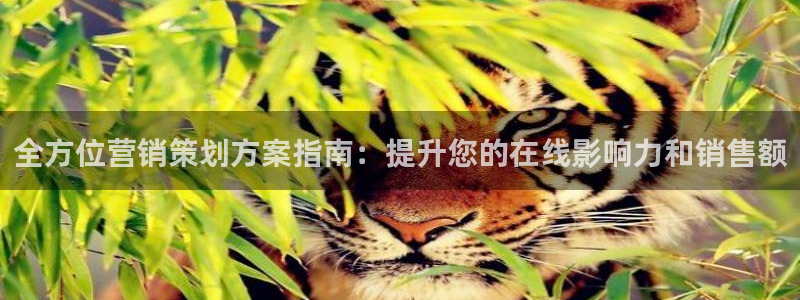 必赢活动安卓下载app