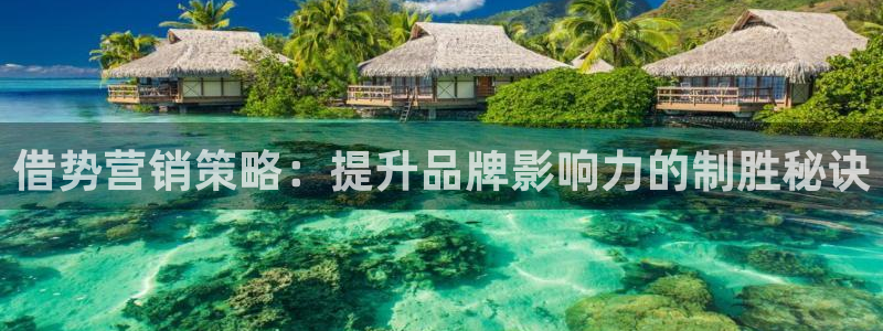 必赢手机版
