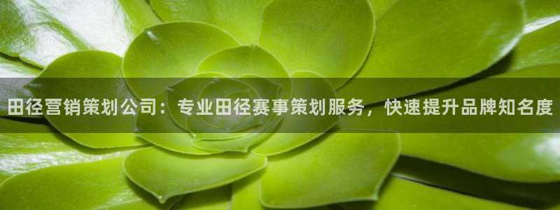 必赢手机app下载抢红包