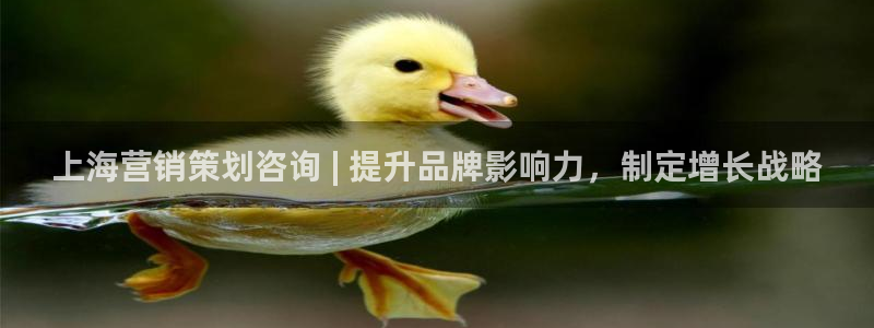 必赢官网下载