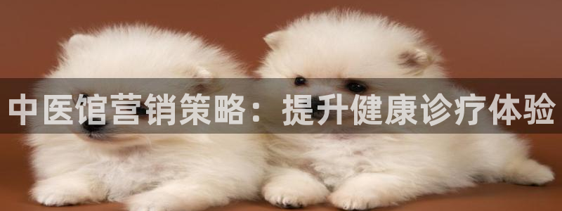 必赢这个软件怎么样知乎