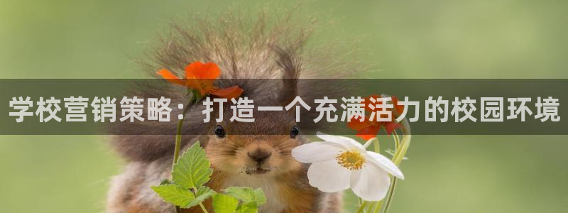必赢官网网站首页入口