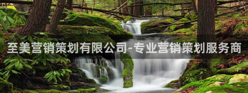 必赢手机app下载官网最新版