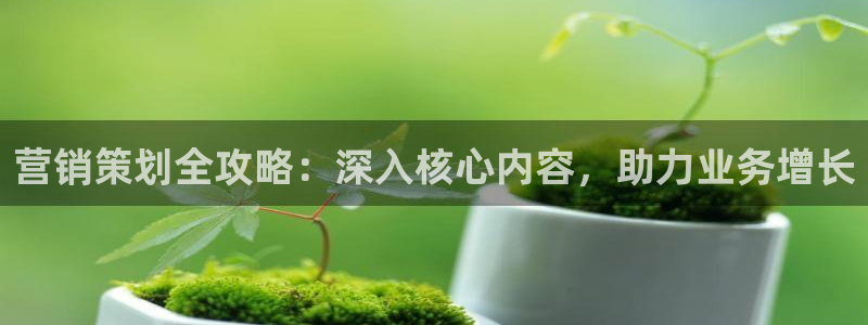 必赢网站是哪一个公司的