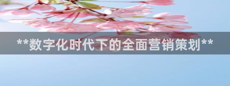 必赢这个软件怎么样啊