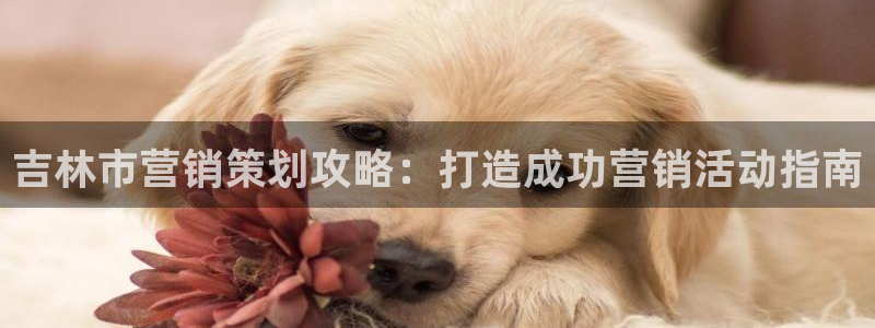 9965必赢游戏app大全