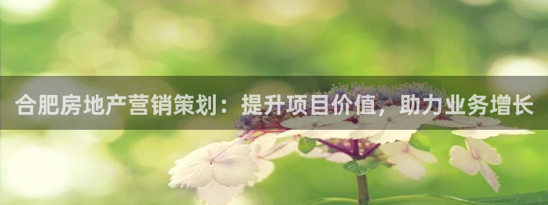 必赢科技中国有限公司