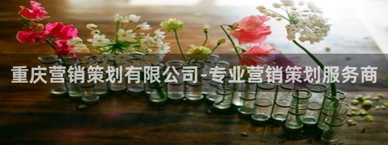 必赢官网入口下载app