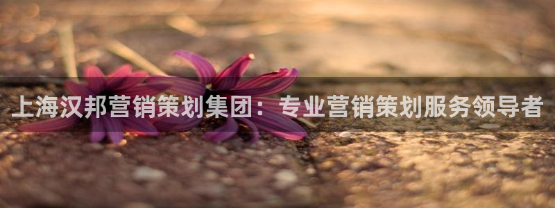 必赢app客户端下载官网
