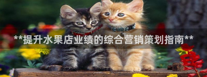 必赢手机app下载最新版安卓苹果可以用吗