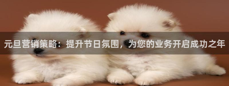 必赢的意思是什么