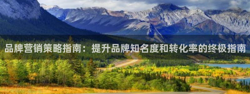 9965必赢游戏特色