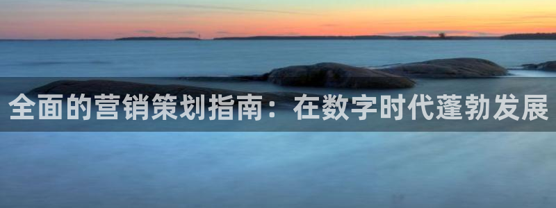 必赢437官网