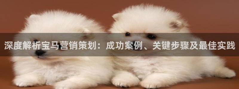 必赢565net官网网站