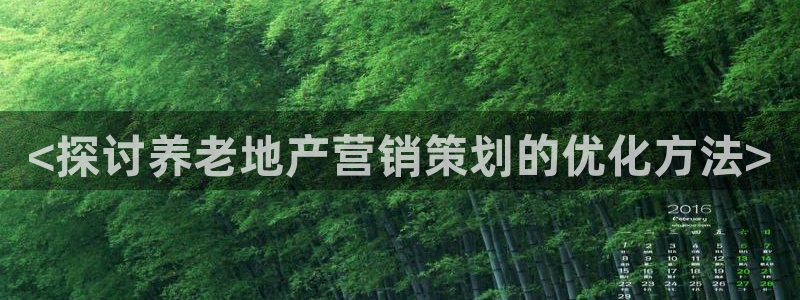 必赢手机app下载安装