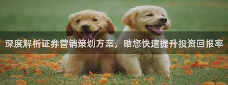 9965必赢棋官方网站怎么样