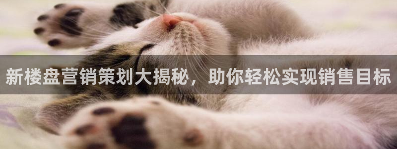 必赢平台官方网址