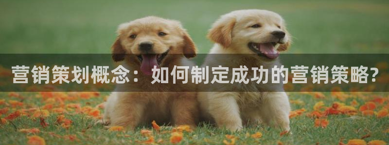 必赢官网app下载