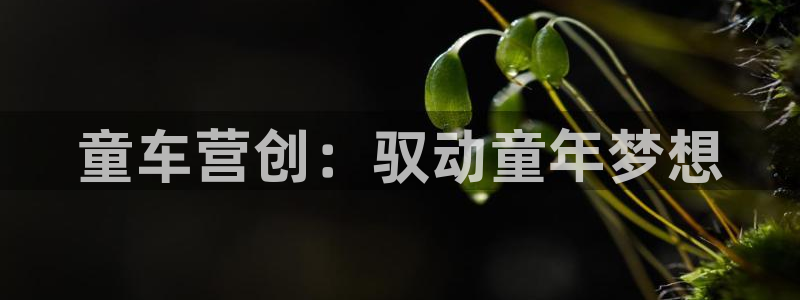 必赢手机app下载 最新版安装
