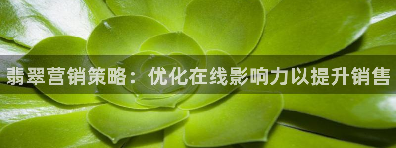 必赢国际437