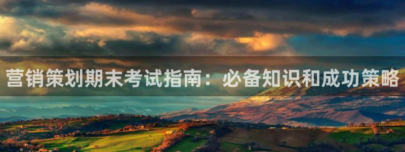 必赢公司是怎样的一家企业