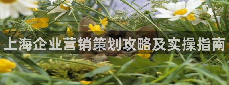 必赢集团网站