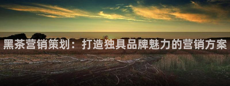 必赢下载安卓版官网