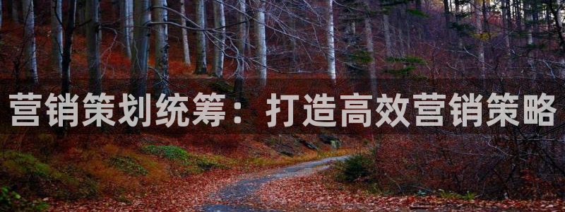 必赢手机app下载 最新版苹果