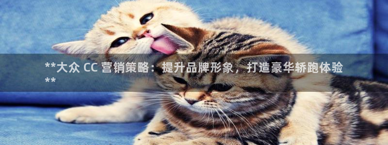 必赢官网app下载安装最新版苹果