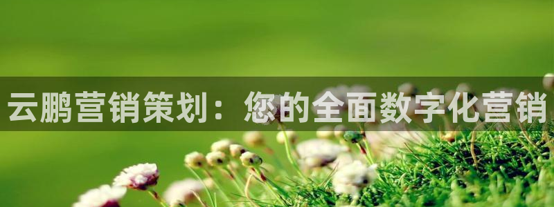 必赢官网下载安装最新版