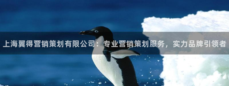 必赢平台官方网站登录