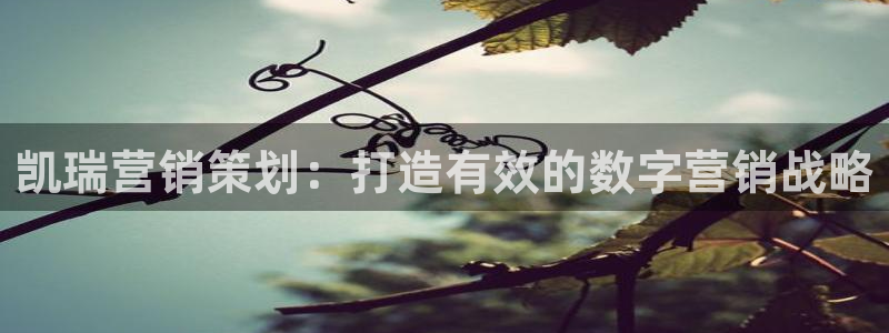 必赢3003 会员账号