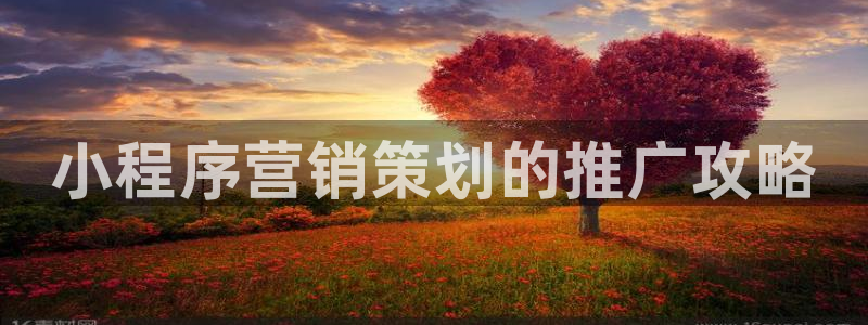必赢国际怎么样