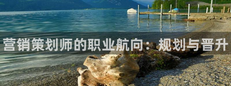 必赢app是干什么的