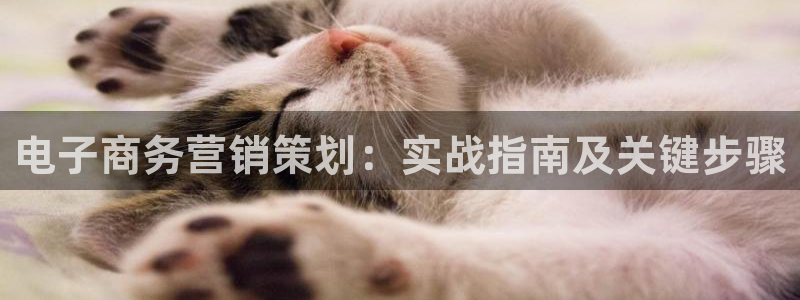 必赢手机app下载官网最新版