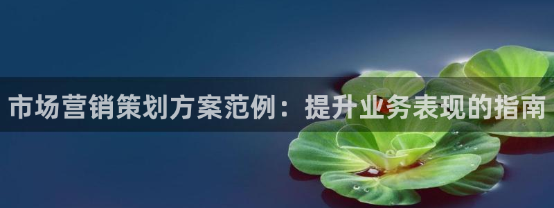 必赢下载
