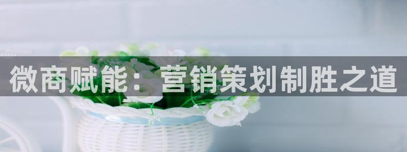 必赢官网入口下载安装