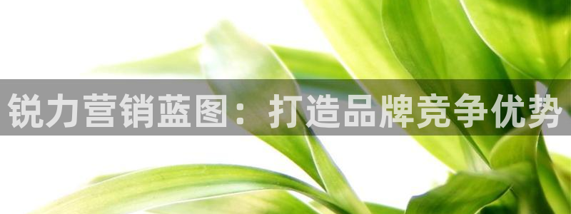 必赢下载ipad