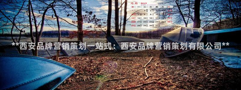 必赢3003平台