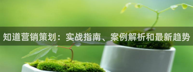 必赢3003+会员账号